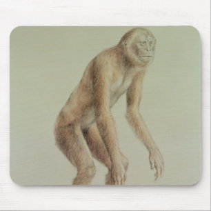 Tapis De Souris Ramapithecus