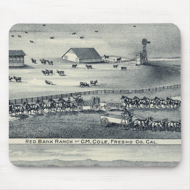 Tapis De Souris Ranches de Cole (Devant)