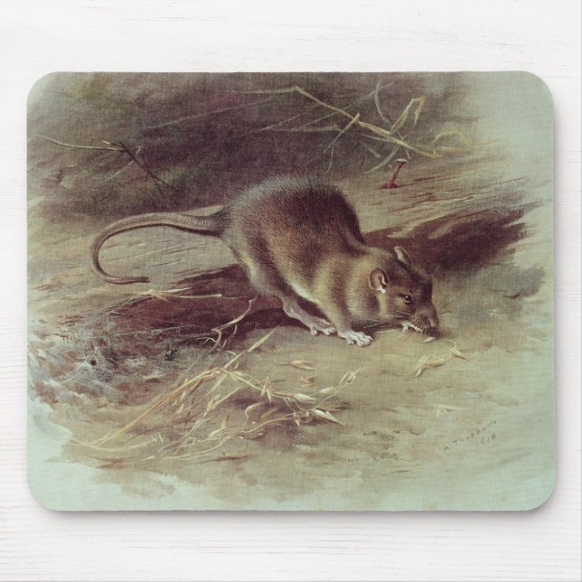 Tapis De Souris Rat Brown 1918 (Devant)