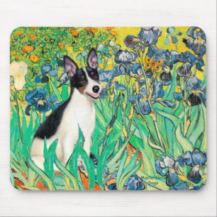 Tapis De Souris Rat Terrier - Irises