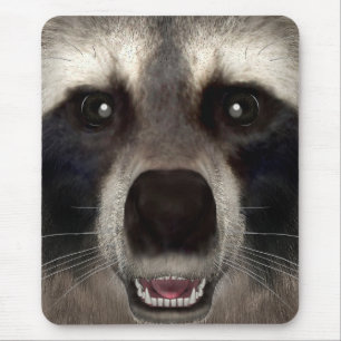 Tapis De Souris Raton laveur