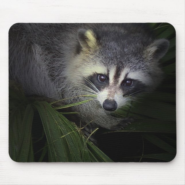 Tapis De Souris Raton laveur Mousepad (Devant)