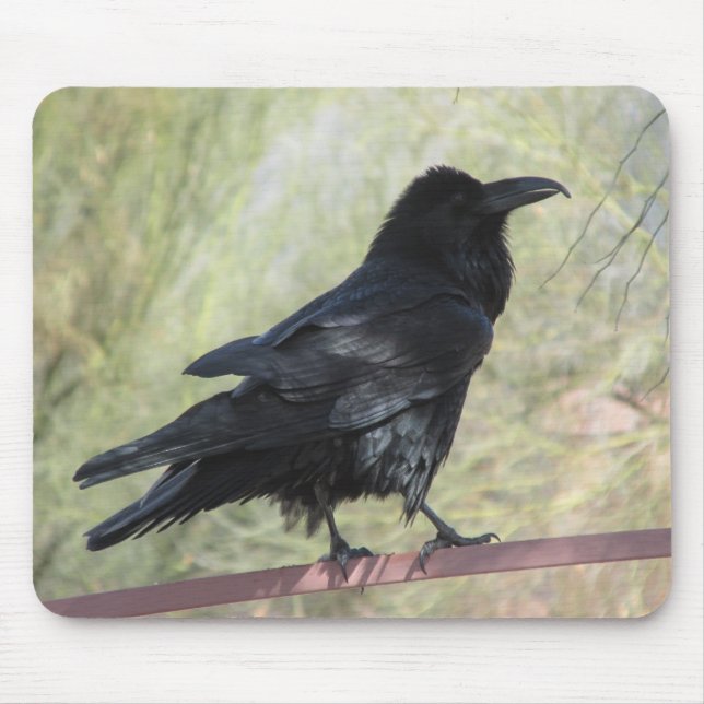 Tapis De Souris Raven Mousepad (Devant)