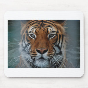 Tapis De Souris Rayures de chat tigre jungle brume animal