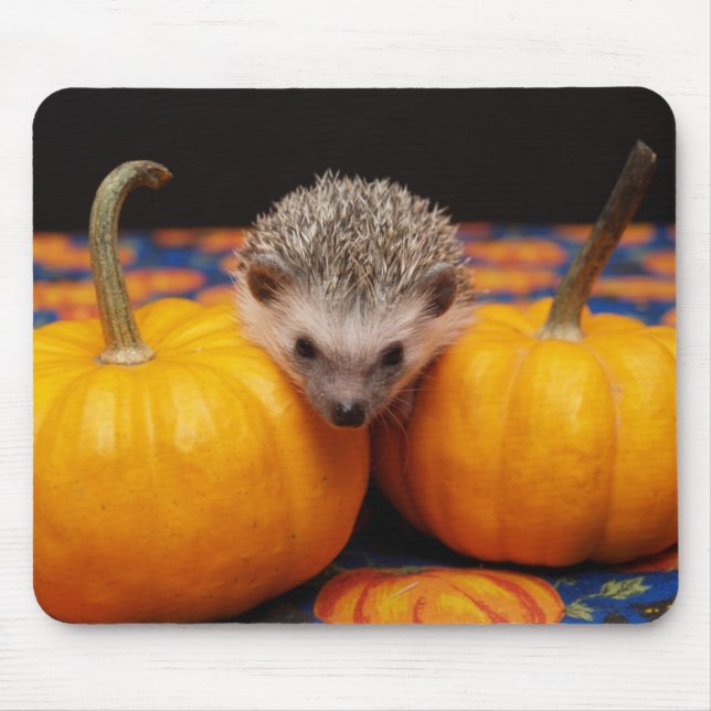Tapis De Souris Recherche du grand citrouille (Devant)