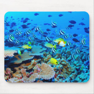 Tapis De Souris Récif français de bancs de frégate avec des