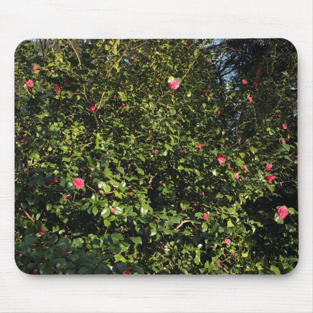 Tapis De Souris Red Camellia Bush (Devant)