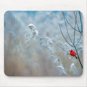 Tapis De Souris Red Cardinal dans Winter Nature Photo de Christmas