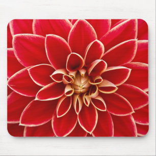 Tapis De Souris Red Dahlia