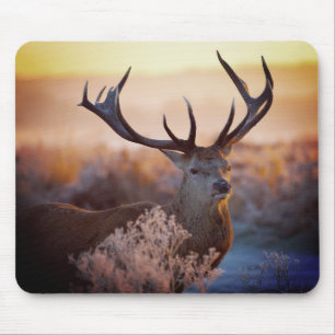 Tapis De Souris Red Deer en début de matinée, Pad de souris