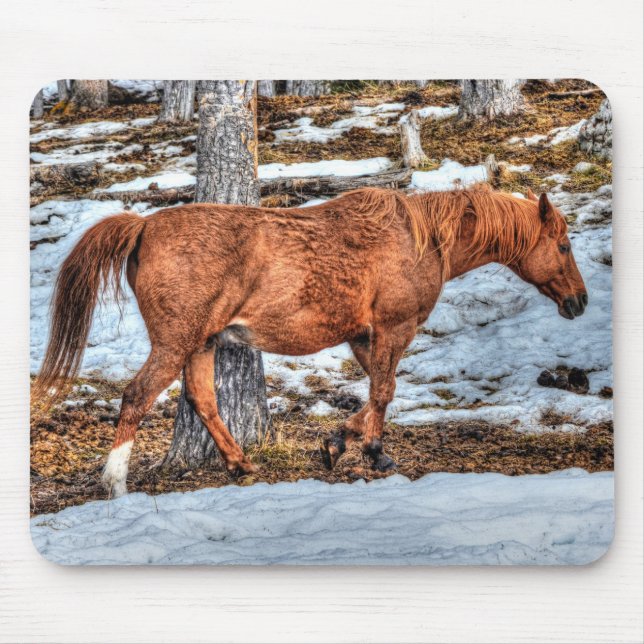 Tapis De Souris Red Dun Ranch Horse Equine Photographie (Devant)