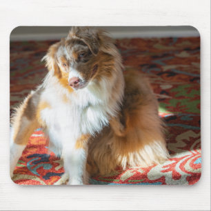 Tapis De Souris Red Merle Australian Shepherd