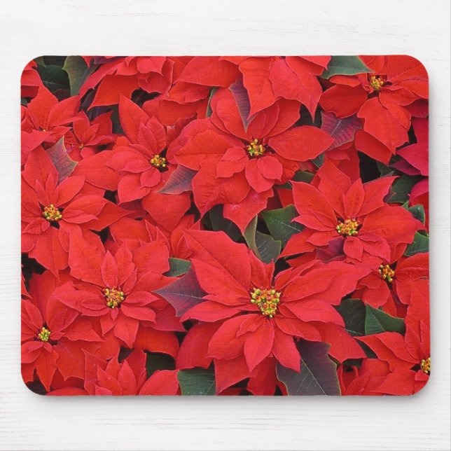 Tapis De Souris Red Poinsettias I Christmas Holiday Floral Photo (Devant)