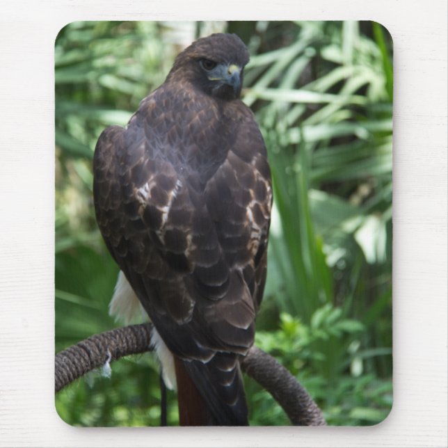 Tapis De Souris Red Tail Hawk Oiseau Mousepad (Devant)
