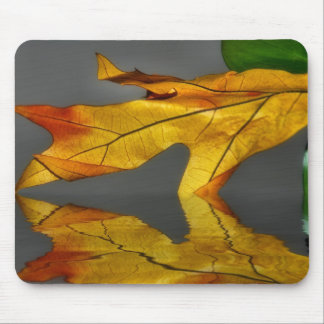 Tapis De Souris Réflexion Mousepad de feuille