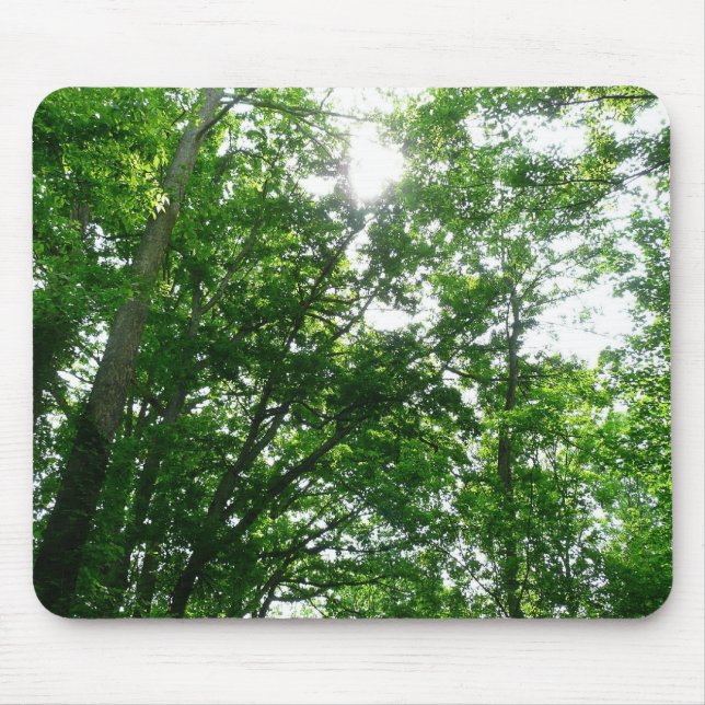 Tapis De Souris Regard sur les arbres d'été (Devant)