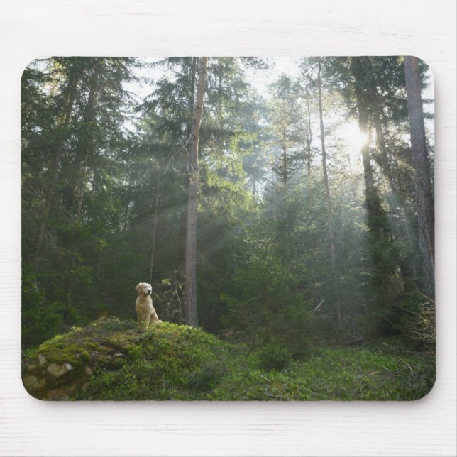 Tapis De Souris Région boisée de pin du chien | de golden (Devant)
