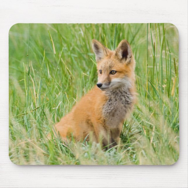 Tapis De Souris Renard roux nouveau-né dans l'herbe près de terrie (Devant)