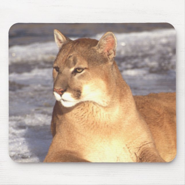 Tapis De Souris Repos Cougar (Devant)