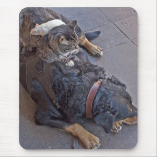 Tapis De Souris Repos facile