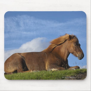 Tapis De Souris Repos islandais et ciel de cheval