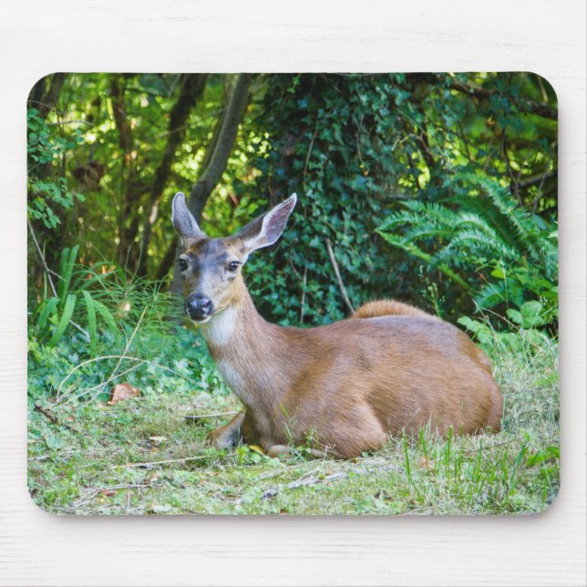 Tapis De Souris Repos moderne Deer Mousepad (Devant)