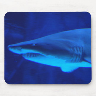 Tapis De Souris Requin !