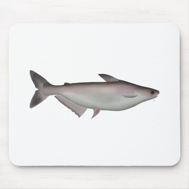 Tapis De Souris Requin Iridescendant (Devant)
