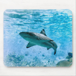 Tapis De Souris Requin vintage Mousepad