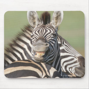 Tapis De Souris Réservation privée de tala, Kwazulu Natal, sud