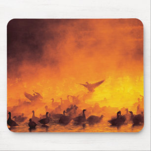 Tapis De Souris Réserve nationale de faune de Bosque del Apache, N