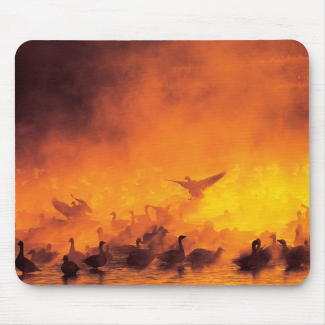 Tapis De Souris Réserve nationale de faune de Bosque del Apache, N (Devant)