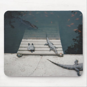 Tapis De Souris Réservoir de reptiles