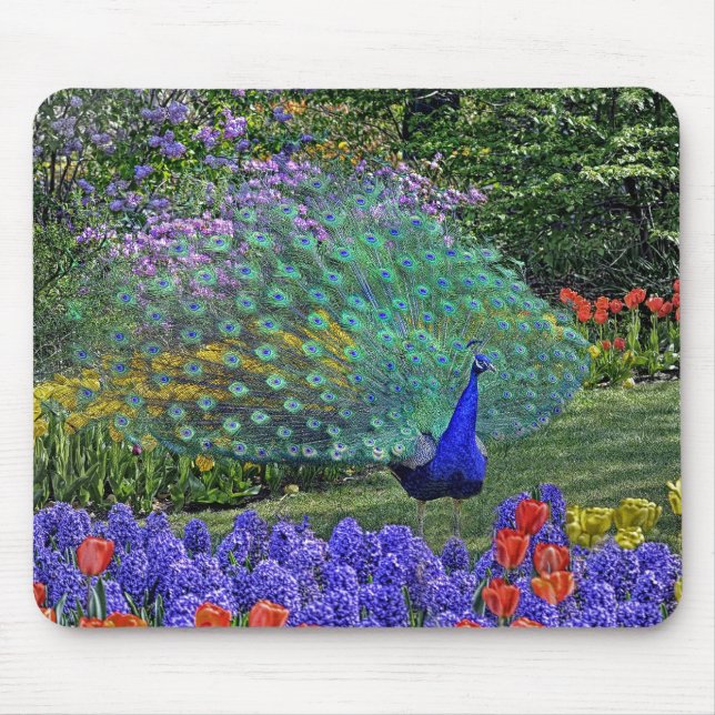 Tapis De Souris Ressort Fowers 2 de paon (Devant)