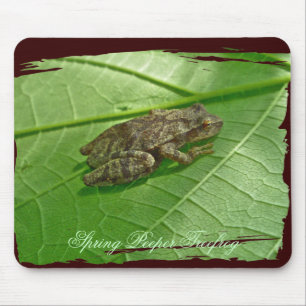 Tapis De Souris Ressort Peeper (Pseudacris crucifer) Treefrog Item