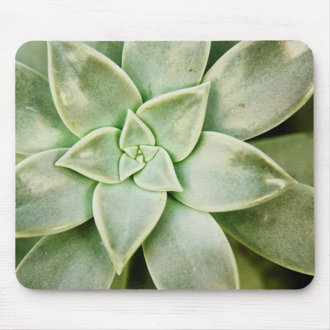 Tapis De Souris Ressort Succulent (Devant)
