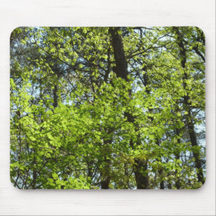Tapis De Souris Ressource Feuille