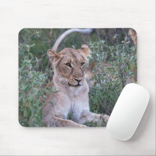 Tapis De Souris Rester Lioness Portrait de la faune africaine