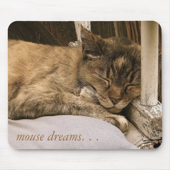 Tapis De Souris rêves de souris. (Devant)