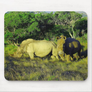 Tapis De Souris Rhinoceros Couple Photographie de la faune