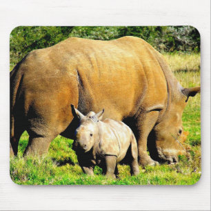 Tapis De Souris Rhinoceros Mère & Calf Photographie de la faune