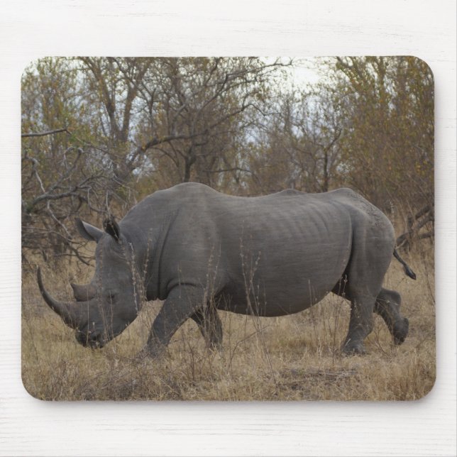 Tapis De Souris Rhinocéros sud-africain (Devant)