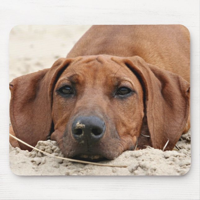 Tapis De Souris Rhodesian Ridgeback Muismat (Devant)