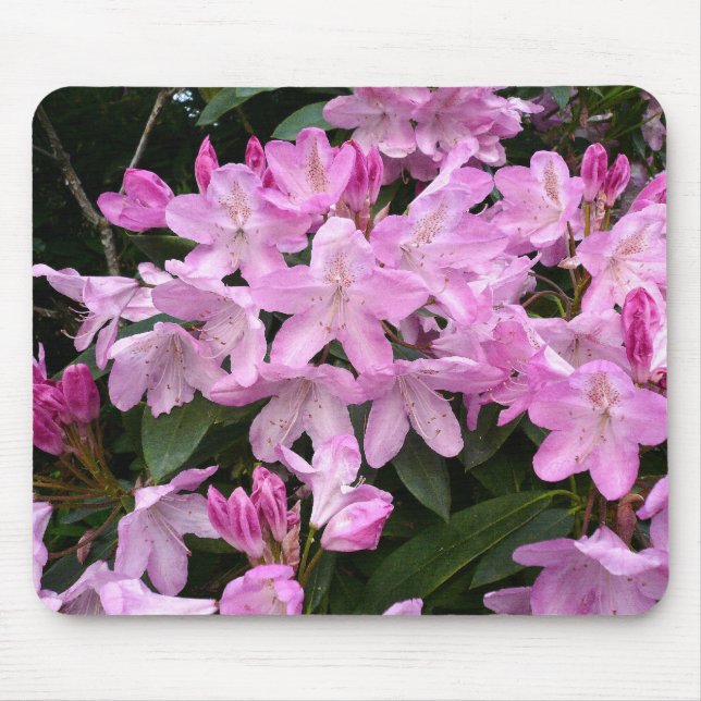Tapis De Souris Rhododendrons II (Devant)