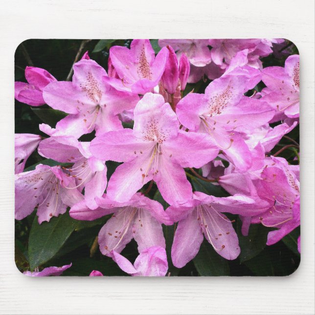 Tapis De Souris Rhododendrons III (Devant)