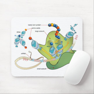 Tapis De Souris Ribosome mRNA tRNA molecules proteins Diagram 