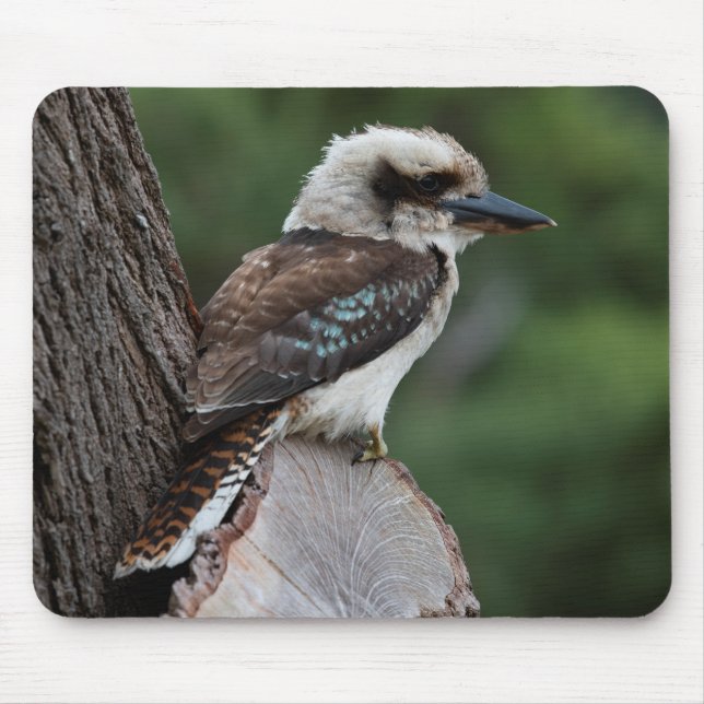 Tapis De Souris Rire Kookaburra (Devant)