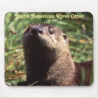 Tapis De Souris River Otter Up Close and Personal Mousepad