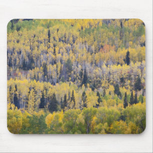 Tapis De Souris Rivière Provo et trembles