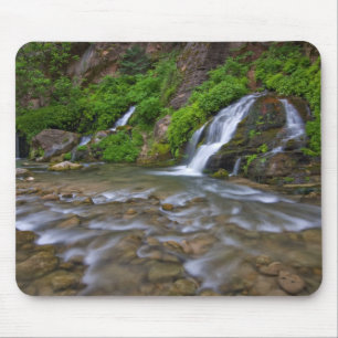 Tapis De Souris Rivière Vierge Big Springs   Parc national de Zion